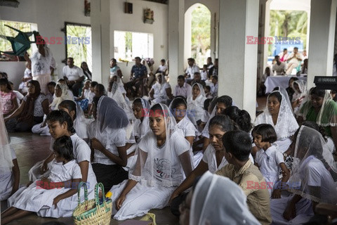 Afrykanie ze Sri Lanki - Redux