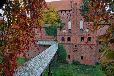 Polska Albin Marciniak