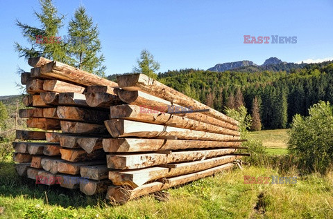 Polskie Tatry Albin Marciniak