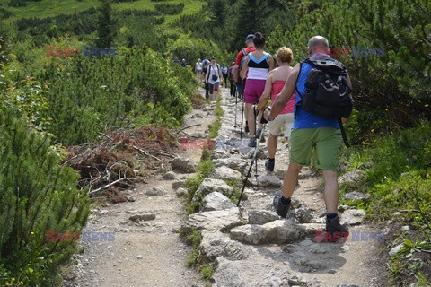 Polskie Tatry Albin Marciniak