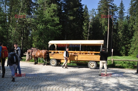 Polskie Tatry Albin Marciniak