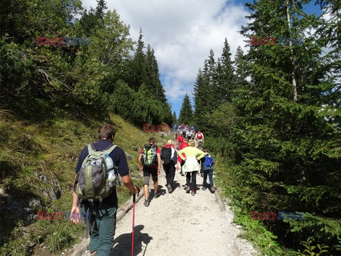 Polskie Tatry Albin Marciniak