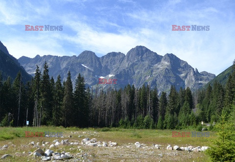 Polskie Tatry Albin Marciniak