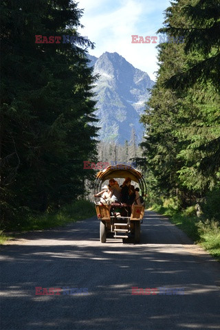 Polskie Tatry Albin Marciniak