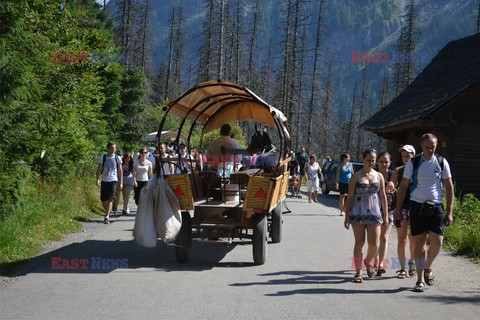 Polskie Tatry Albin Marciniak