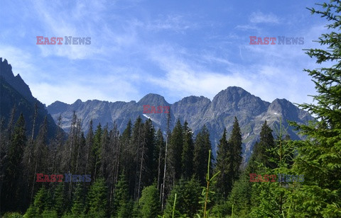 Polskie Tatry Albin Marciniak