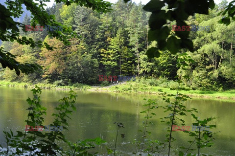 Pieninski Park Narodowy Albin Marciniak