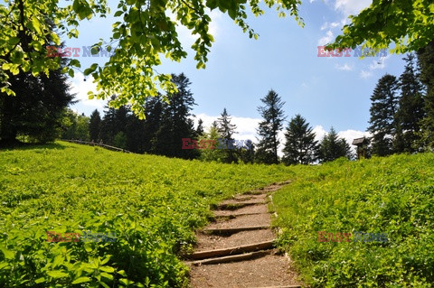 Pieninski Park Narodowy Albin Marciniak