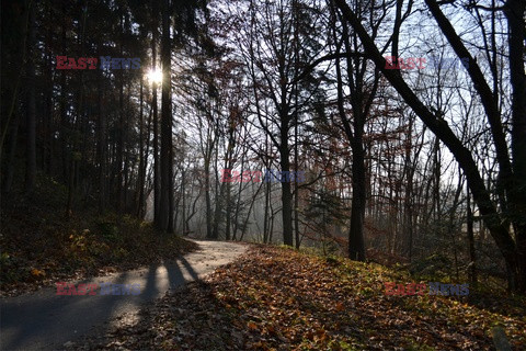 Pieninski Park Narodowy Albin Marciniak