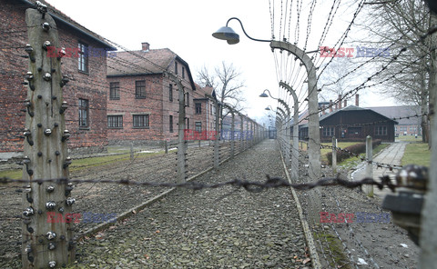 73. rocznica wyzwolenia obozu koncentracyjnego Auschwitz