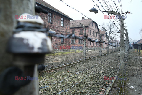 73. rocznica wyzwolenia obozu koncentracyjnego Auschwitz