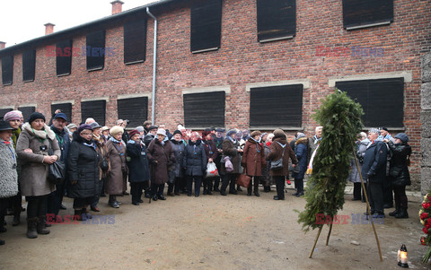 73. rocznica wyzwolenia obozu koncentracyjnego Auschwitz