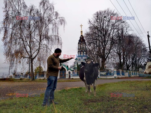 Zwierzęta z Czarnobyla - Cover Images