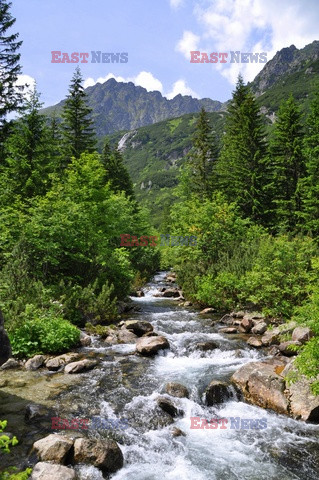 Polskie Tatry Albin Marciniak