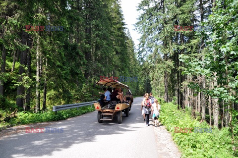 Polskie Tatry Albin Marciniak