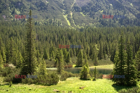 Polskie Tatry Albin Marciniak