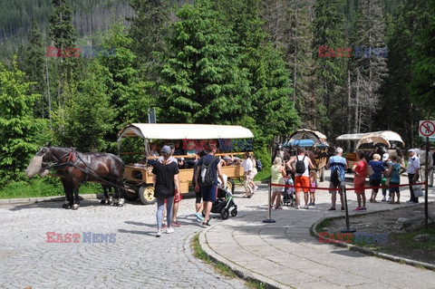 Polskie Tatry Albin Marciniak