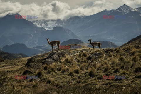 Chile - Patagonia - NYT