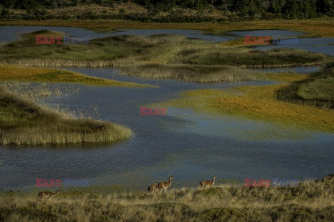 Chile - Patagonia - NYT