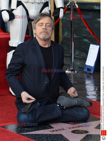 Mark Hamill otrzymał gwiazdę na Bulwarze Sławy