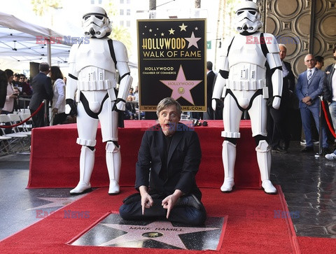 Mark Hamill otrzymał gwiazdę na Bulwarze Sławy