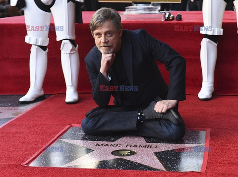 Mark Hamill otrzymał gwiazdę na Bulwarze Sławy