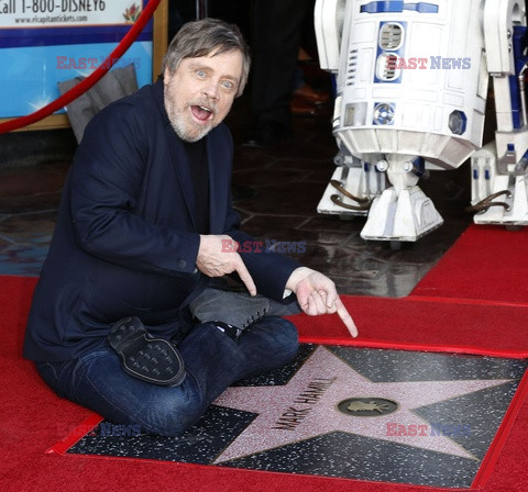 Mark Hamill otrzymał gwiazdę na Bulwarze Sławy