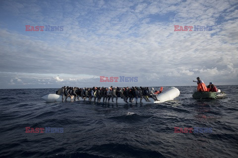 Migranci - Vu Images