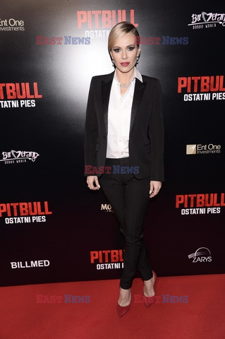 Pitbull. Ostatni pies - premiera filmu