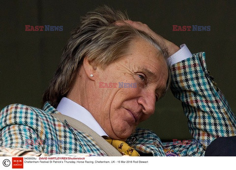 Rod Stewart i Penny Lancaster na wyścigach konnych w Cheltenham