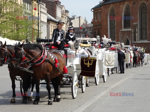 Kraków Albin Marciniak