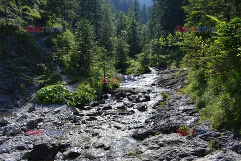 Polskie Tatry Albin Marciniak