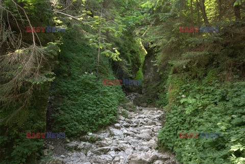 Polskie Tatry Albin Marciniak