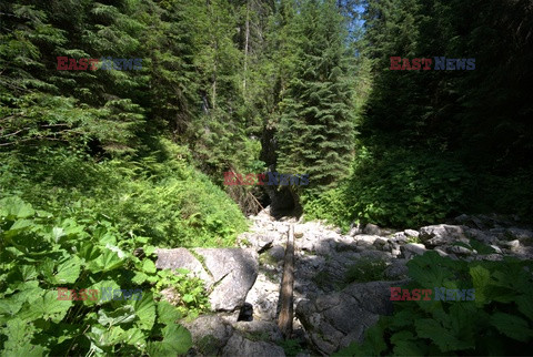 Polskie Tatry Albin Marciniak