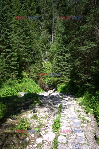 Polskie Tatry Albin Marciniak