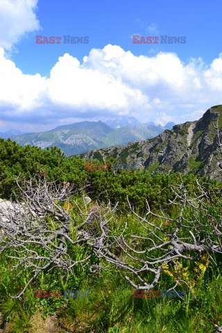 Polskie Tatry Albin Marciniak