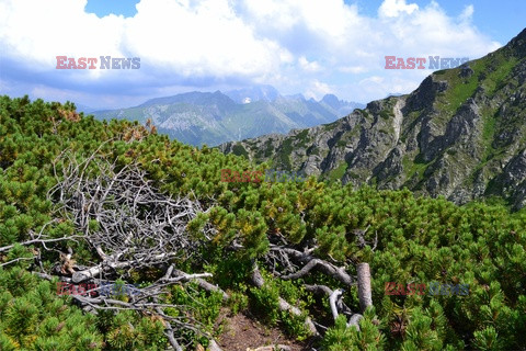 Polskie Tatry Albin Marciniak