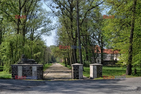 Polska Albin Marciniak