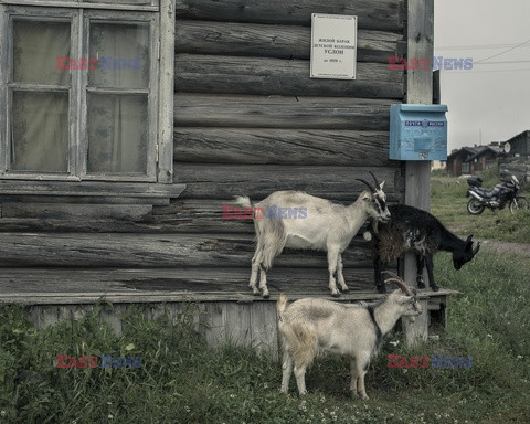 Rosja - Wyspy Sołowieckie - Vu Images