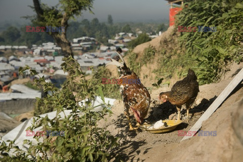 Bangladesz - obóz dla ludu Rohingya - Vu Images