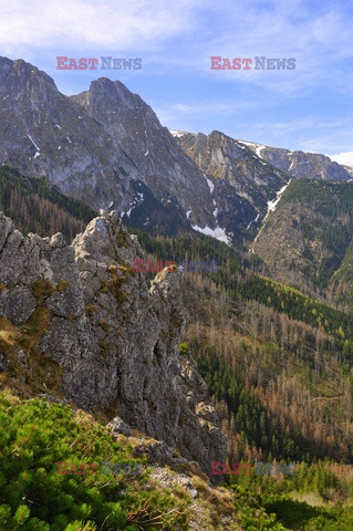 Polskie Tatry Albin Marciniak