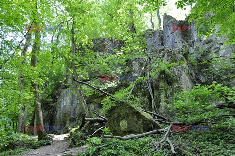 Kraków Albin Marciniak