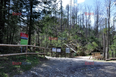 Polskie Tatry Albin Marciniak