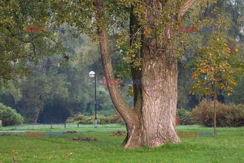 Warszawa Arkadiusz Ziółek