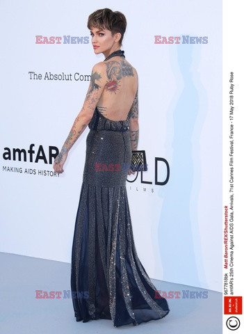 Cannes 2018 - gala amfAR