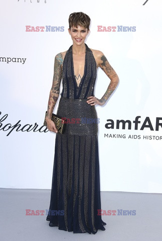 Cannes 2018 - gala amfAR