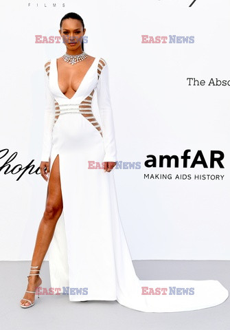 Cannes 2018 - gala amfAR