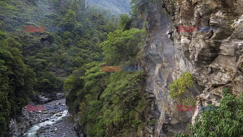 Łowcy miodu w Nepalu - Solent News 