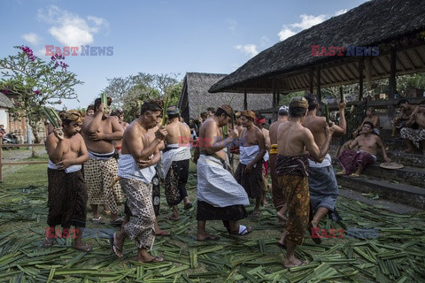 Tradycyjne walki Mekare-kare w Indonezji - Redux