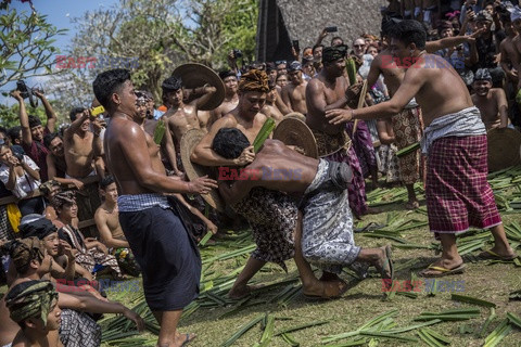 Tradycyjne walki Mekare-kare w Indonezji - Redux